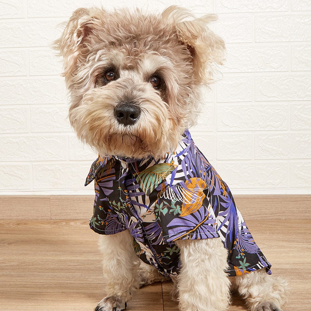 KUTKUT Hawaiian Dog & Cat Shirt - Pet Summer T-Shirts Breathable Dog Clothes for Small Dogs Cats Pets, Hawaii Style Polo Dog Shirts Beach Seaside Puppy Outfit Quick Dry Apparel - kutkutstyle