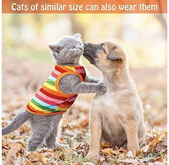 KUTKUT Pack of 2 Dog Shirts for Small Dogs | 100% Cotton Summer Girl Boy T-Shirt | Clothes for ShishTzu, Poodle, Pug - kutkutstyle