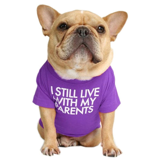 KUTKUT Pet Dog Breathable Stretchy Round Neck T-Shirt I Still Live with My Parents Pet Puppy Cats Dog Cooling Vest T-Shirts Soft Cotton Clothes| French Bulldog Dog Shirt-T-Shirt-kutkutstyle
