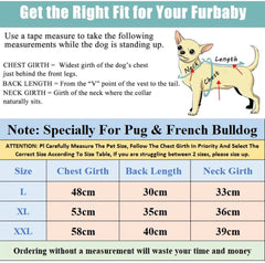 kutkutstyle T-Shirt KUTKUT Pet Dog Breathable Stretchy Round Neck T-Shirt I Still Live with My Parents Pet Puppy Cats Dog Summer Soft Cotton Tshirt| French Bulldog Dog Shirt
