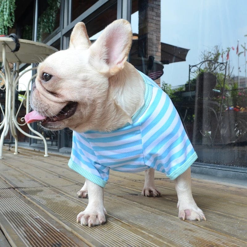KUTKUT Pet Dog Cotton Striped Clothing, Puppy Vest T-Shirts Outfits for Dogs and Cat Apparel, Doggy Breathable Soft Shirts for Small Dogs Kitten Boy and Girl-T-Shirt-kutkutstyle