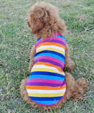 KUTKUT Rainbow Color Stripe Print Cotton Sleeveless T-Shirt for Small Dog ShishTzu, Lhasa, Poodle, Maltipoo Clothes-T-Shirt-kutkutstyle