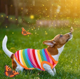 KUTKUT Rainbow Stripe Summer Cotton Sleeveless T-Shirt for Small Breed Dogs ShishTzu, Lhasa, Poodle-T-Shirt-kutkutstyle