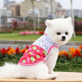 kutkutstyle T-Shirt KUTKUT Set of 2 Breathable Summer Clothes for Small Dogs, Fruits Pattern Mesh Vest Sleeveless Shirt for Maltese, Bichon, Shihtzu, Pekingese