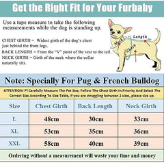 kutkutstyle T-Shirt KUTKUT Set of 2 Dog Breathable Stretchy Round Neck T-Shirt | Pet Puppy Cats Dog Summer T-Shirts Soft Cotton Clothes | French Bulldog Pug Shirt