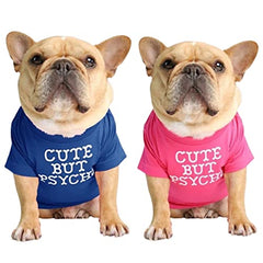 kutkutstyle T-Shirt KUTKUT Set of 2 Pet Dog Breathable Stretchy Round Neck T-Shirt| Pet Puppy Cats Dog Summer Soft Cotton Tshirt | French Bulldog Pug Shirt