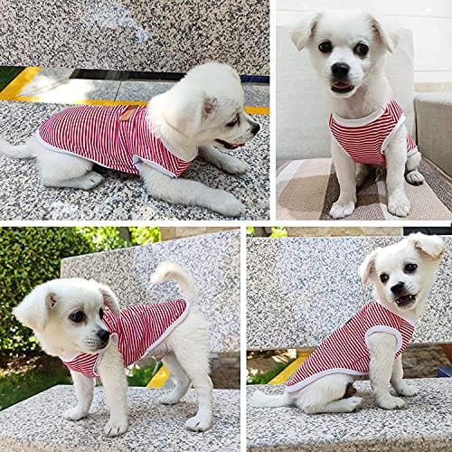 KUTKUT Set of 3 Pcs Striped T-Shirt Puppy Clothes for Small Dogs, Kitten, Summer Cotton Vest Doggy Tee Tank Top for Shihtzu, Bichon, Papillon, Pekingese etc - kutkutstyle