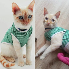 KUTKUT Set of 3 Striped T-Shirt Puppy Clothes for Small Dogs, Kitten, Summer Cotton Vest Doggy Tank Top for Maltese, Bichon, Papillon, Pekingese - kutkutstyle