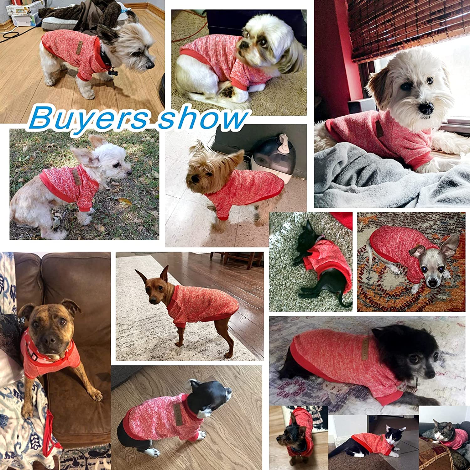 KUTKUT Small Dog & Cat Classic Warm Clothes Knitwear Dog Sweater Soft Thickening Warm Pup Dogs Shirt Winter Puppy Sweater for Small Dogs Shihtzu, Maltese, Yorkii etc - kutkutstyle