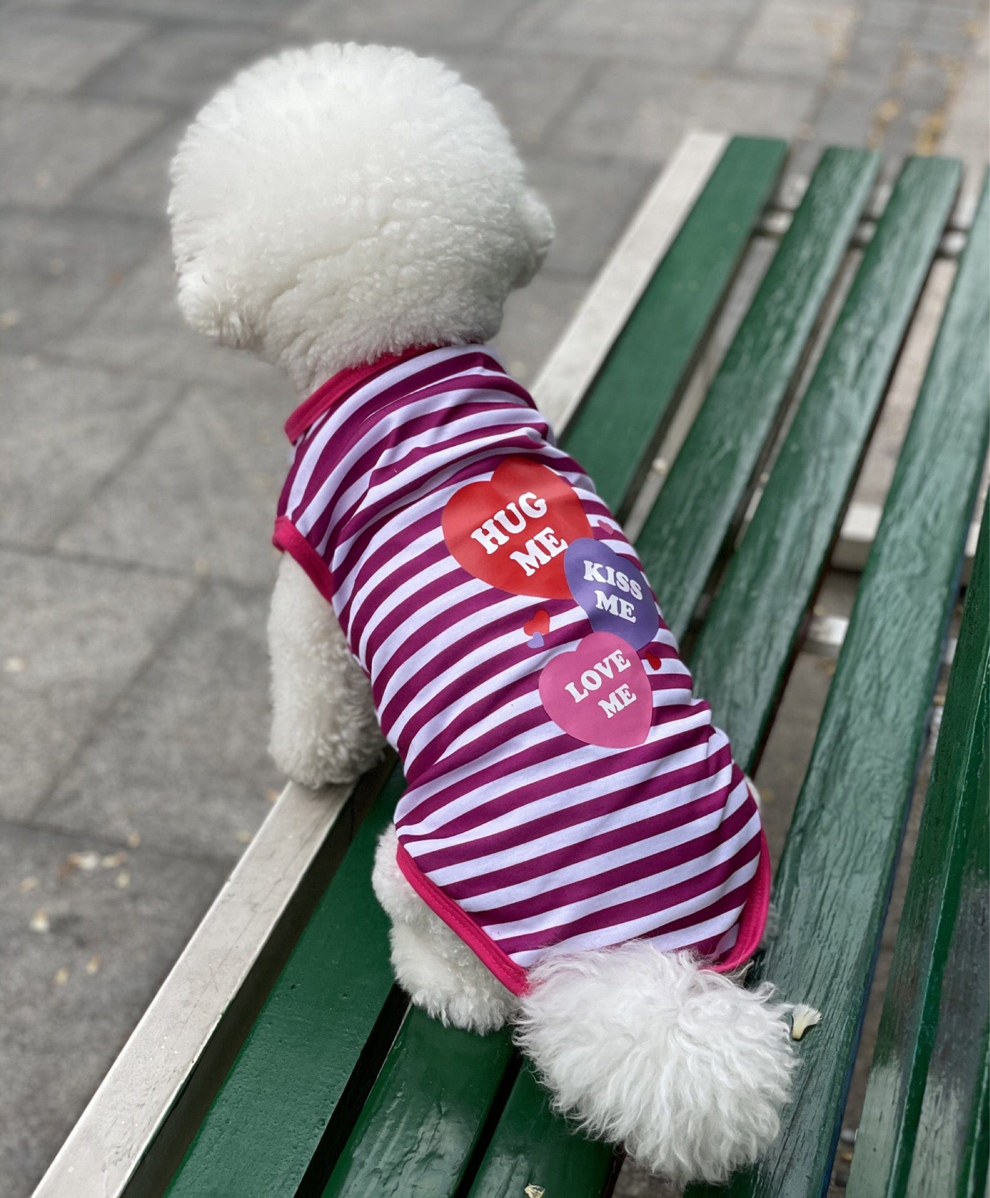 KUTKUT Small Dog & Cat Cotton T-Shirt | Breathable Hug Me Stripes Print Sleeveless Tee Shirt for Cavalier King, Bichon Frise,Lhasa Apso, French Bulldog Puppy etc - kutkutstyle