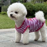 KUTKUT Small Dog & Cat Cotton T-Shirt | Breathable Hug Me Stripes Print Sleeveless Tee Shirt for Cavalier King, Bichon Frise,Lhasa Apso, French Bulldog Puppy etc - kutkutstyle