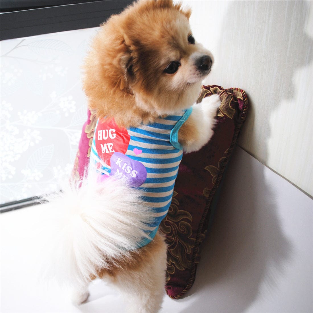 KUTKUT Small Dog & Cat Cotton T-Shirt | Breathable Hug Me Stripes Print Sleeveless Tee Shirt for Maltese, ShishTzu, Lhasa, Pug etc - kutkutstyle