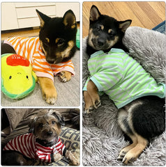 KUTKUT Small Dog Soft Cotton Striped Clothing, Puppy Vest T-Shirts Outfits for Dogs and Cat, Doggy Breathable Soft Shirts for Pet Dogs Kitten Boy and Girl - kutkutstyle