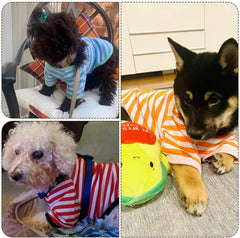KUTKUT Small Dog Soft Cotton Striped Clothing, Puppy Vest T-Shirts Outfits for Dogs and Cat, Doggy Breathable Tshirts for Pet Dogs Boy and Girl - kutkutstyle