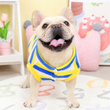 KUTKUT Velvet Fleece Dog Shirt|Stripes Pattern Button Closure Warm Sweatshirt for Small Dogs Cats Boy Girl|Winter Pullover Clothes for Puppy French Bulldog, Pug etc. - kutkutstyle