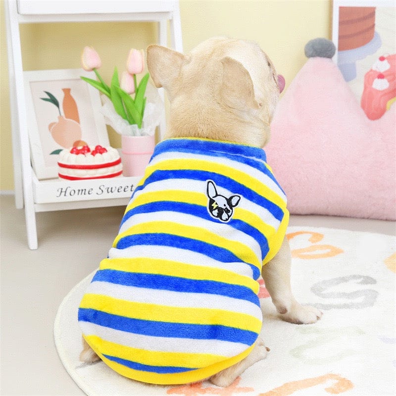 KUTKUT Velvet Fleece Dog Shirt|Stripes Pattern Button Closure Warm Sweatshirt for Small Dogs Cats Boy Girl|Winter Pullover Clothes for Puppy French Bulldog, Pug etc. - kutkutstyle