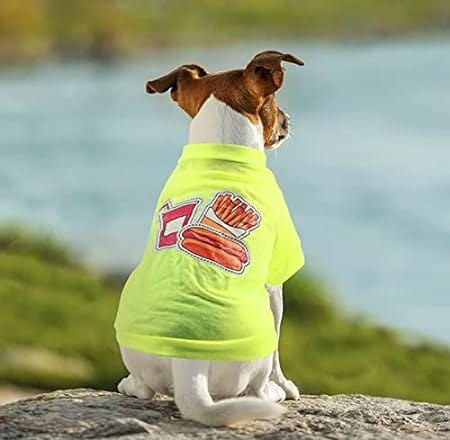 kutkutstyle T-Shirt L# (Chest: 45 & Back Length: 35cm) KUTKUT Set of 2 Pcs Dog Shirt for Small Dog Cat Girl Puppy Clothes for Shihtzu, Papillon, Maltese, Cats Summer Pet Outfits Female Outfits Tshirt Apparel (Size: L, Chest Girth 45cm, Back Length 35cm)