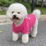 KUTKUT Small Dog & Cat Cotton T Shirt|Breathable I Give Free Kisses Printed Half Sleeve T Shirt for Small Dogs Maltese,Papillon,Shihtzu etc & Cats (Pink, Size: L, Chest Girth 45cm, Back Lengt