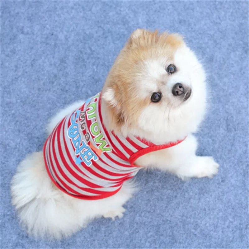 KUTKUT Striped Print T-Shirt for Small Dogs | Breathable Cotton Sleeveless Shirt for ShishTzu, Maltese, Toy Poodle etc (Size: L, Chest Girth 45cm, Back Length 35cm) - kutkutstyle