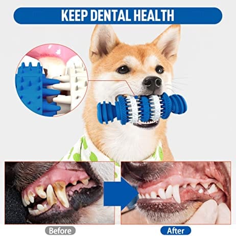 KUTKUT Chew Toy Natural Rubber Bone Tooth Cleaning Non-Toxic Rubber Bite Resistant for Medium & Large Dog Teeth Cleaning/Chewing/Playing/Treat Dispensing (Bone) - kutkutstyle