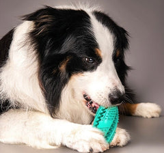 KUTKUT Leakage Food Dog Chew Toys for Aggressive Chewers for Small Medium and Large Dogs Indestructible, Durable Dog Teeth Cleaning Toys Helping to Clean Teeth and Prevent Dental Calculus - k
