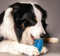 KUTKUT Leakage Food Dog Chew Toy for Aggressive Chewers for Small, Medium and Large Dogs Indestructible, Durable Dog Teeth Cleaning Toys Helping to Clean Teeth and Prevent Dental Calculus - k