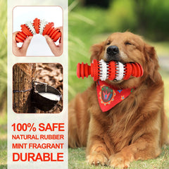 KUTKUT Chew Toy for Dogs Natural Rubber Bone Tooth Cleaning Toy Non-Toxic Rubber Bite Resistant for Medium and Large Dog Teeth Cleaning/Chewing/Playing/Treat Dispensing (Bone) - kutkutstyle