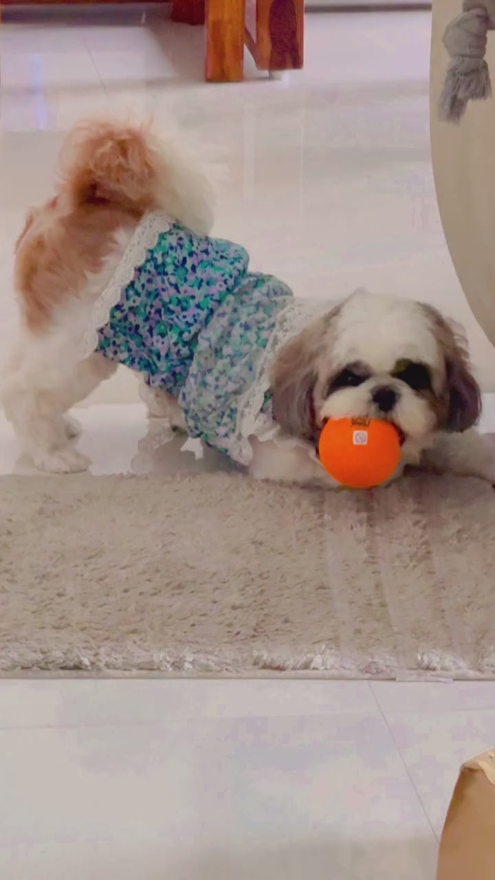KUTKUT Flowers Decor Eelgant Lace Princess Dress for Small Dogs | Cute Summer Skirt Dress for Shish Tzu, Bichon, Maltese, Pug etc. (Multi)