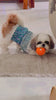KUTKUT Flowers Decor Eelgant Lace Princess Dress for Small Dogs | Cute Summer Skirt Dress for Shish Tzu, Bichon, Maltese, Pug etc. (Multi)